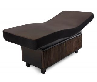INSIGNIA WAVERLY Multi-purpose treatment table with replaceable mattress